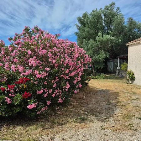 Villa Maison Chaleureuse Dans Le Sud *
